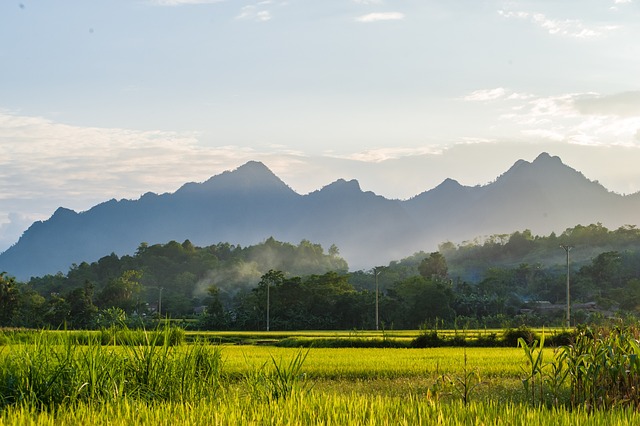 Tetebatu
